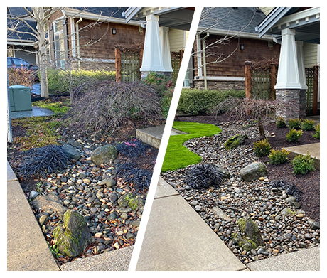 Before & After Landscaping Project 